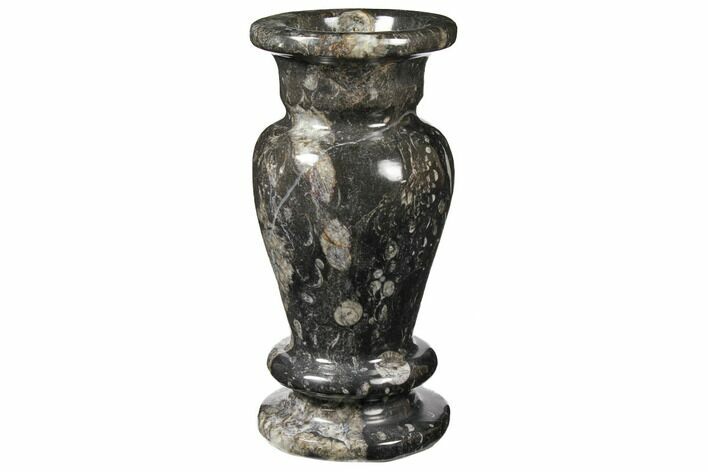 Limestone Vase With Orthoceras Fossils #122447